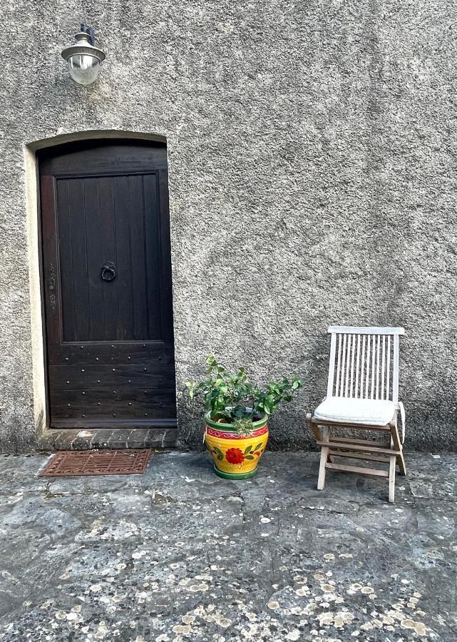 Clos De La Gipiere Montauroux Dış mekan fotoğraf